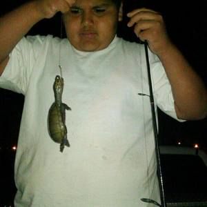 Meet your Posher, Juan